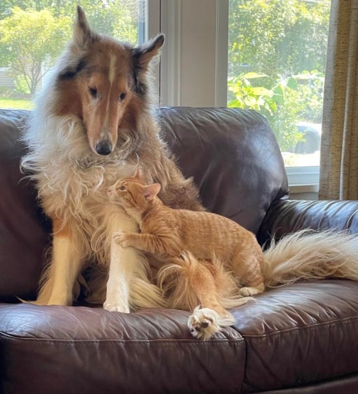 638f565ec1acb7a4eb7ebd4653 638f565ec1acb7a4eb7ebd4653