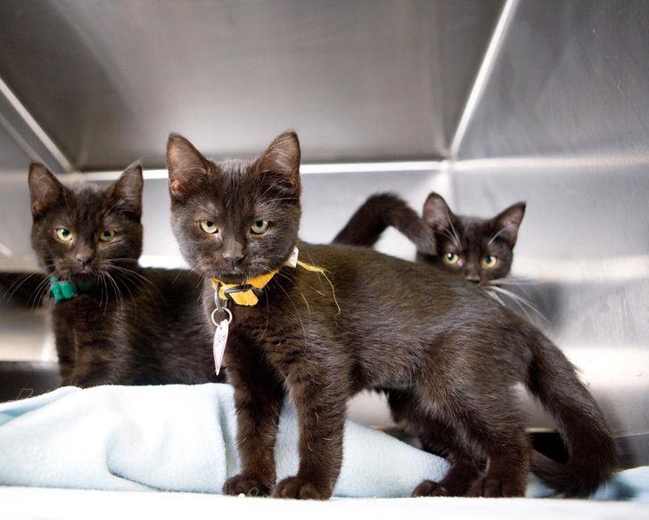 6394425c25b4b699f287a7f238