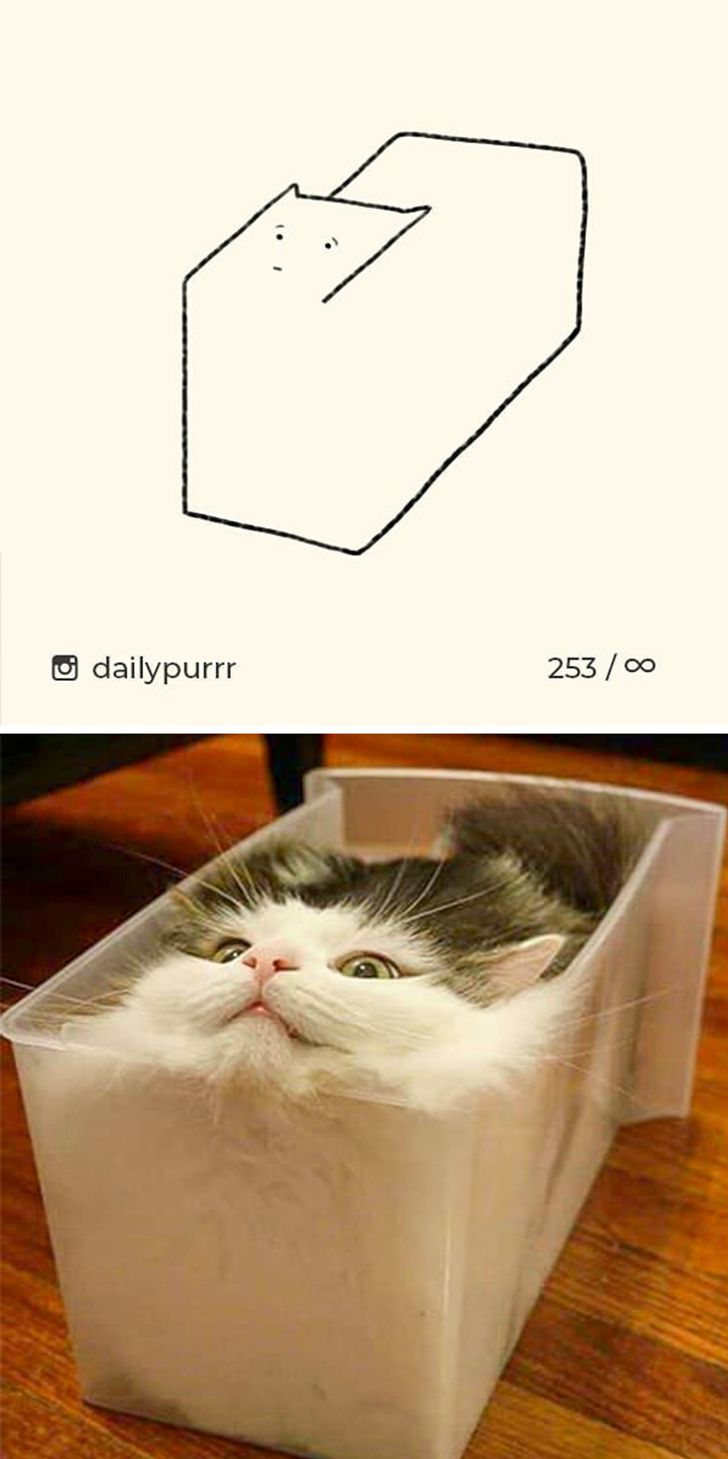 63997a5f16abf58ceaf3624eca