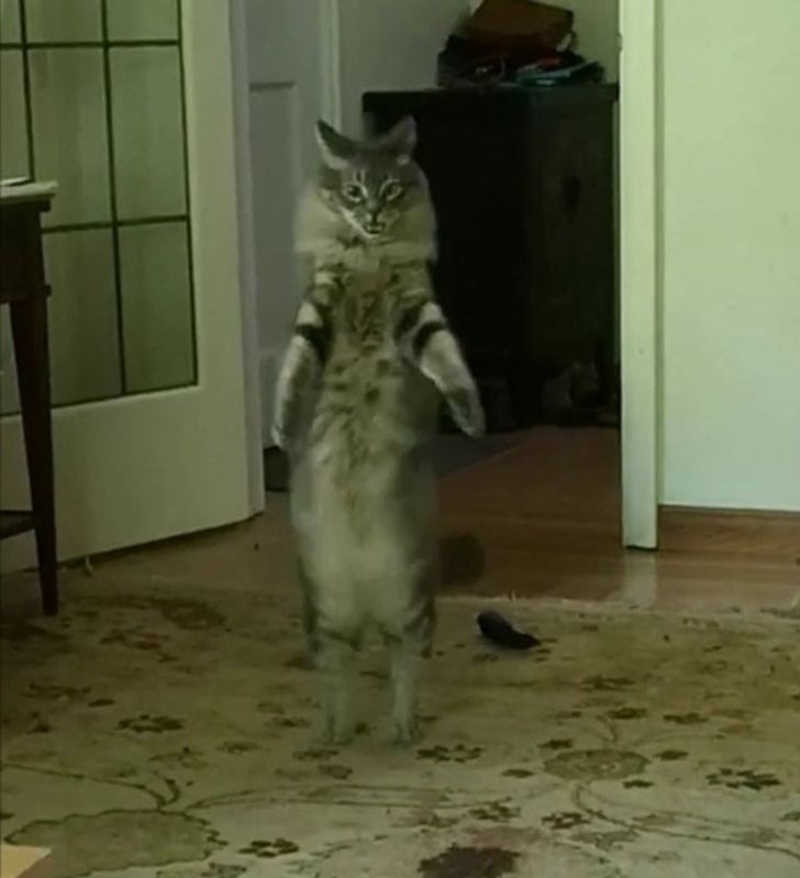 63a0d25195849a14fd47e67d81