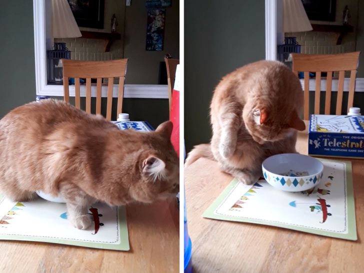 63a298578481af752d933c4526