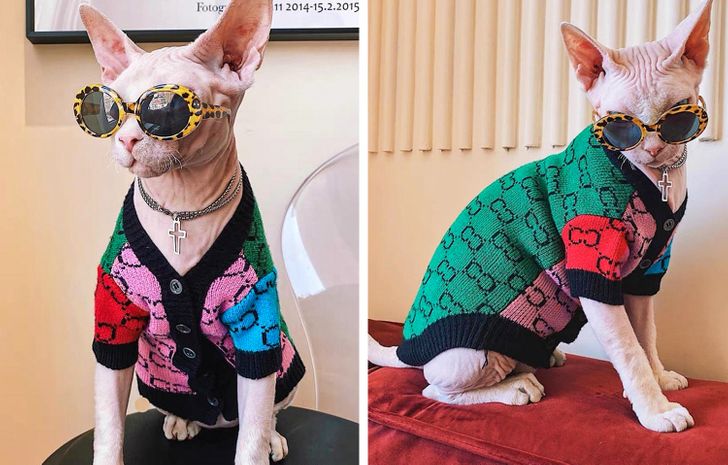 63a5035a368128a19bdb29d6f7