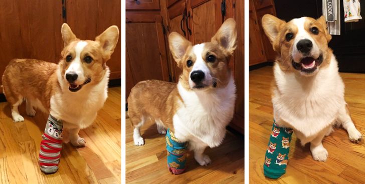 63a84c5eef881e55ad52629c5d