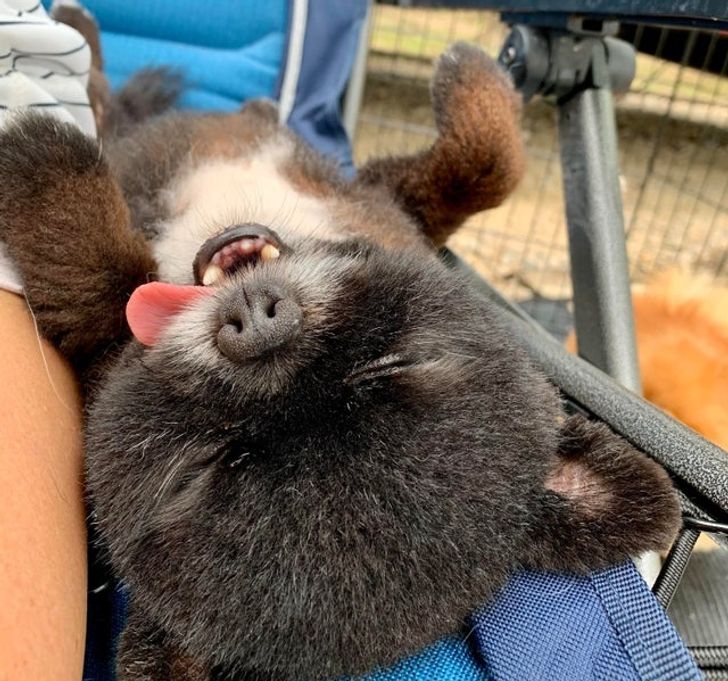 63ab52507a9bb9fc63c96c194c