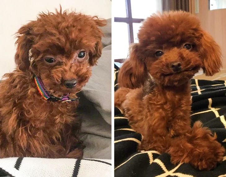 63ab6f5b809037001b823a03d1