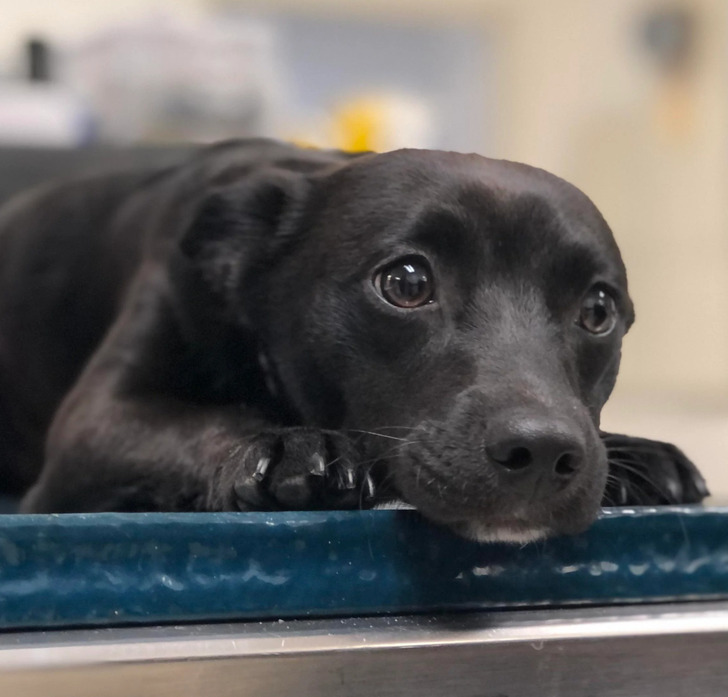 63b8c252079c9db5c617b80f82