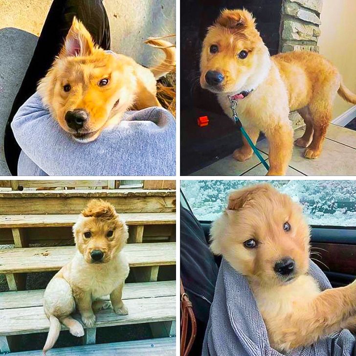 63c38f558b8f4280c2abe6397d