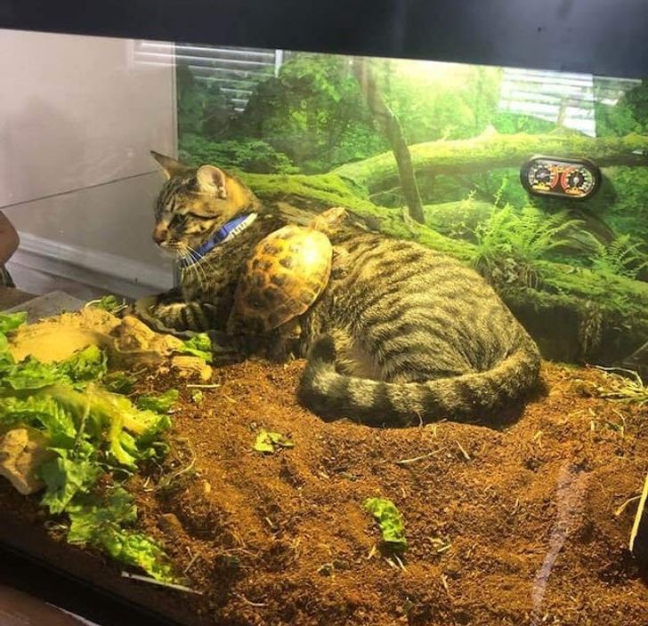 63c5fc593b9ec722c507038788