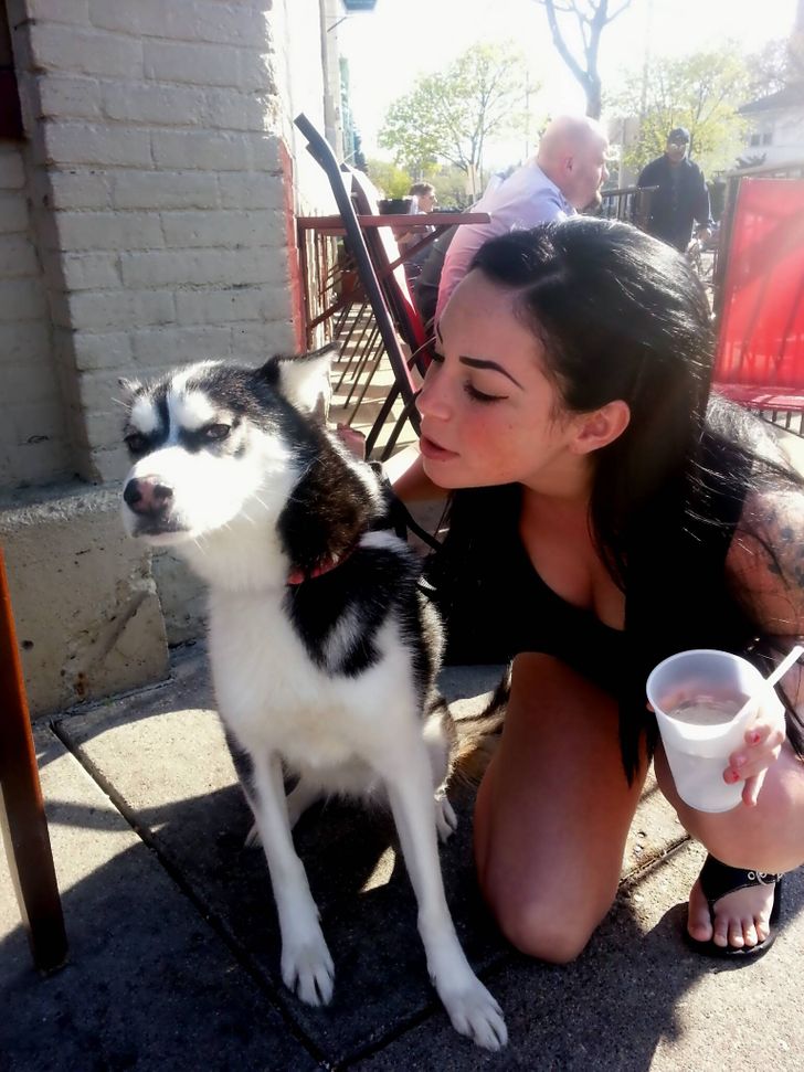 63c6085c919d56e82deb317272