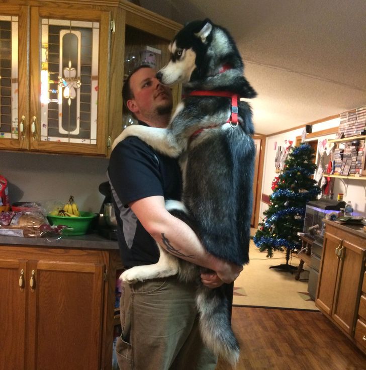 63c64d5661800972f018670dfa