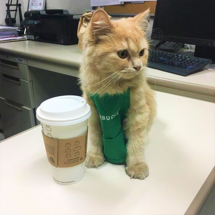 63d0e256bfa7f33590998754c2