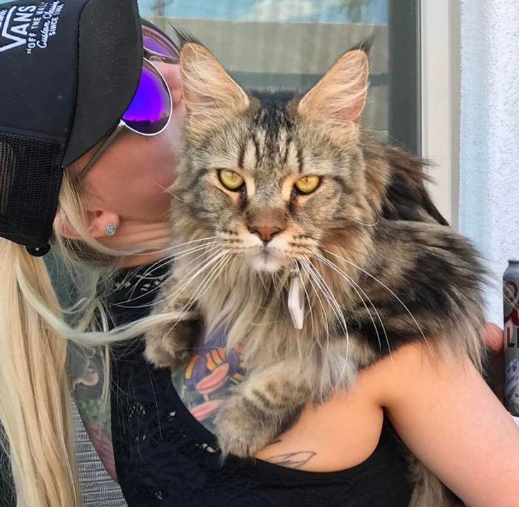 63d10f5525b5d45e3f927bf7b4