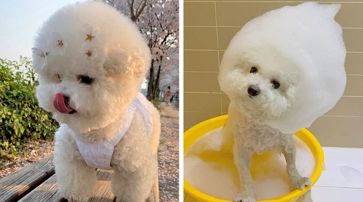 63d33c5dfca53898a472891e17