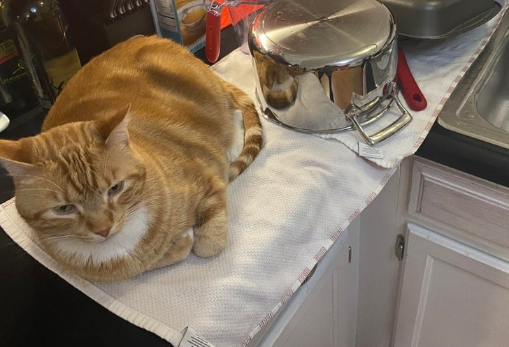 63d9155fe3af7cd403f055979b 63d9155fe3af7cd403f055979b