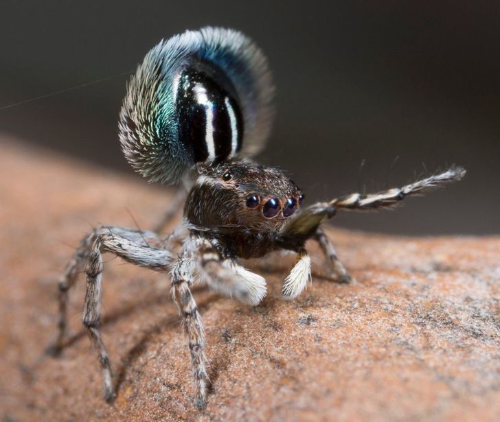 63de815ee29b6ed8de6ec0d953