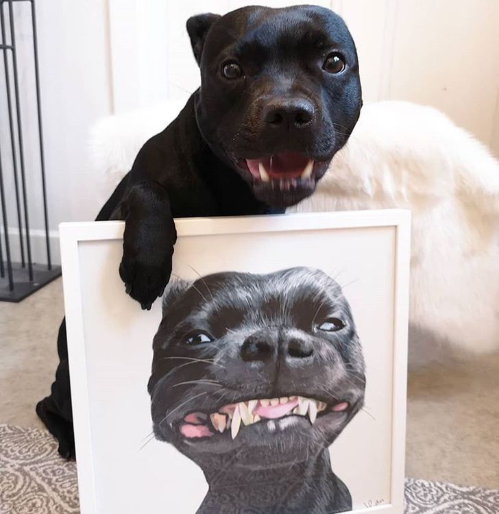 63de925f81a07a86d96fd419ed