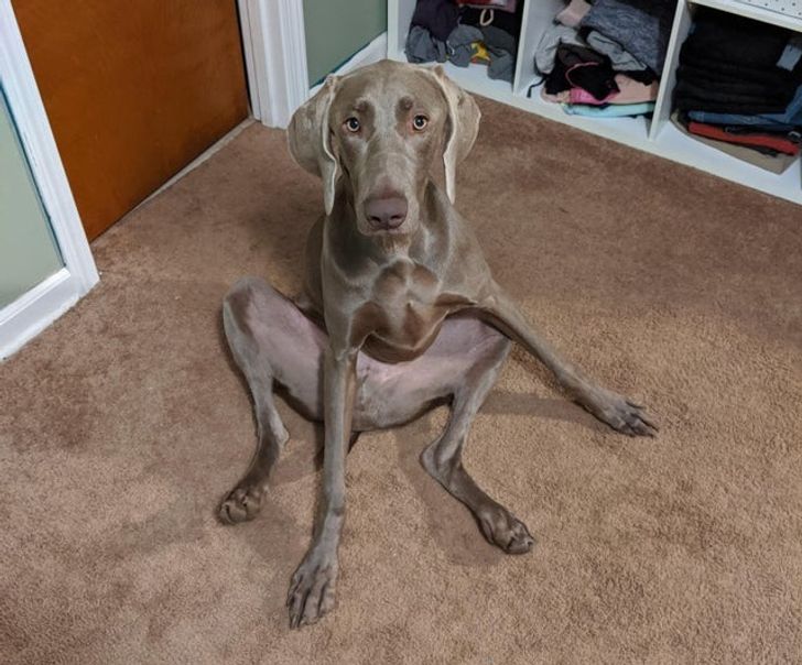 63e03653f1bd6165929563c5d5