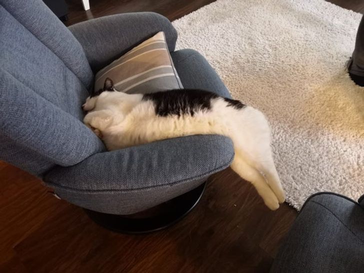 63e5075d7a917f0b88efcf6e33