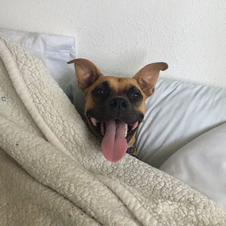 63ea6450dd8356107002192f7e