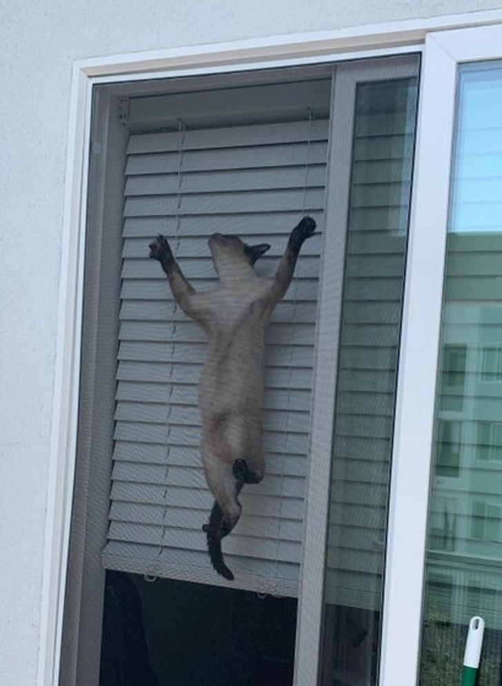 63ef035a11a684c7cf4d60aa60