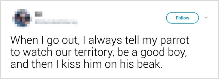 63efe85a29a75a7586d8515cde