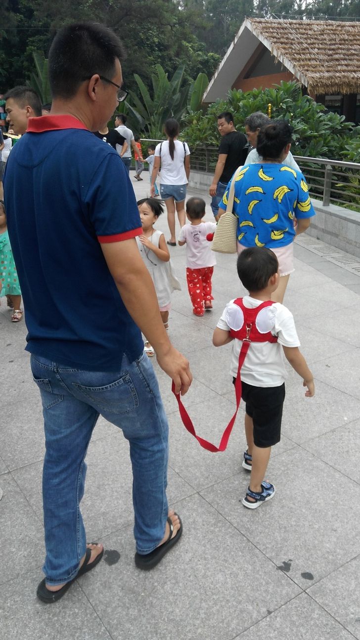 63f1575f41a05ccfa2e623c01f