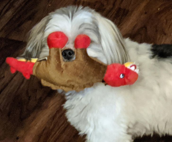 6401b05880be7d5ff2e68e1f89