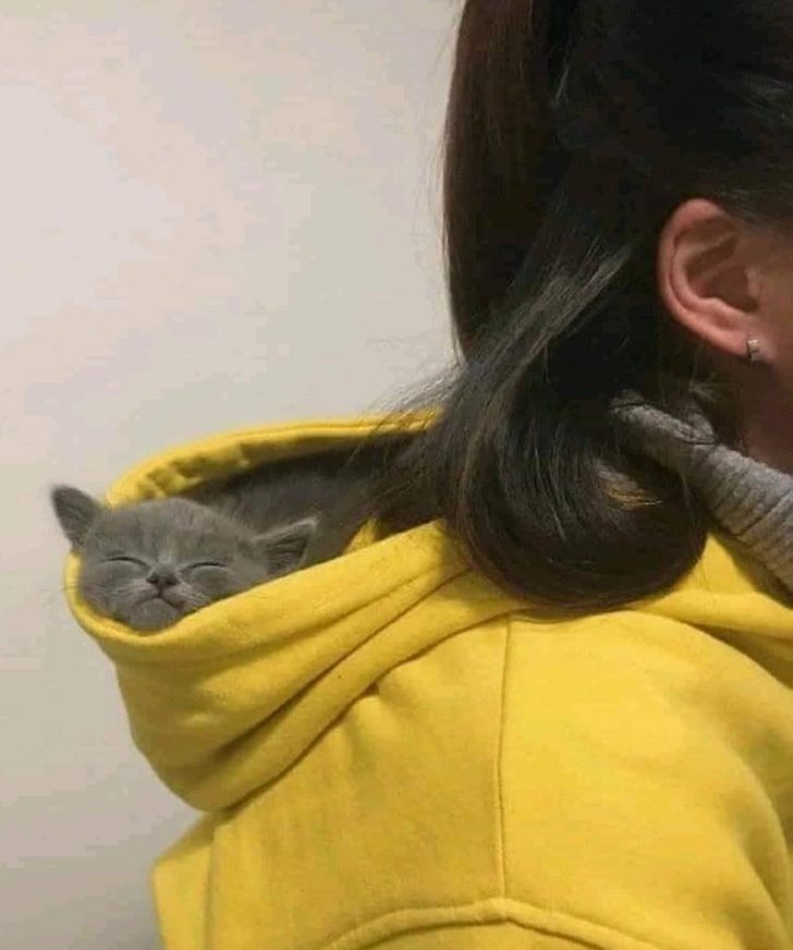 6402125ab684b5c4c4598bec46