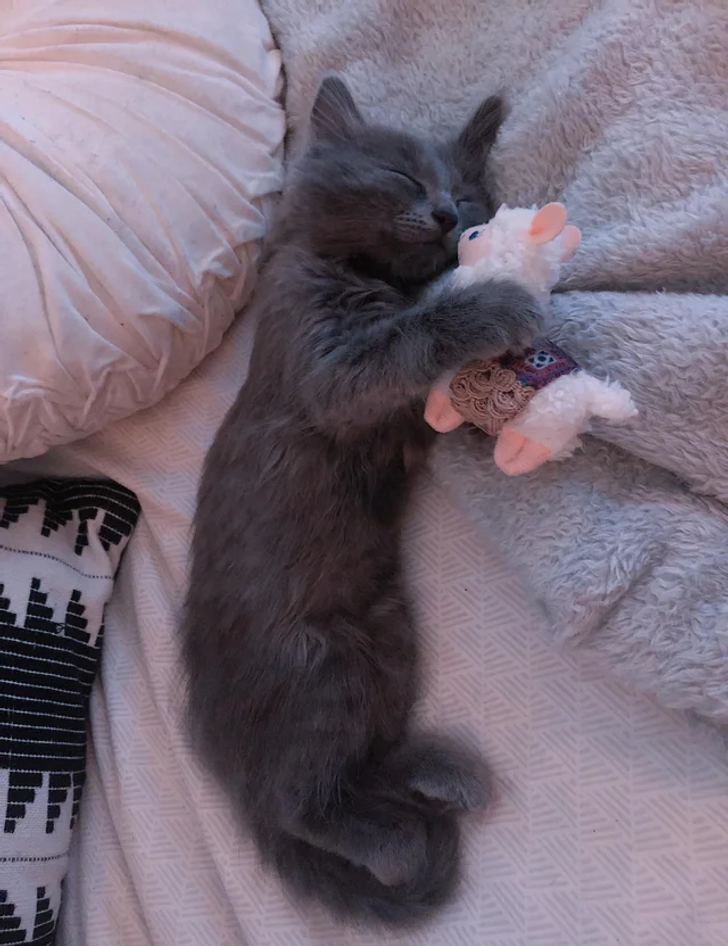 6408295fd0a554adf0133fd06f