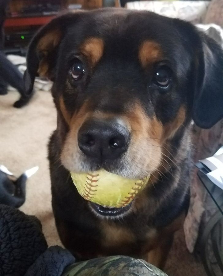 6414ba56488ebfc954fb7e17b4