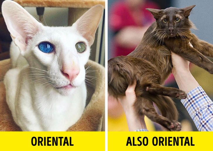 6417755ffabb3e816d40824119