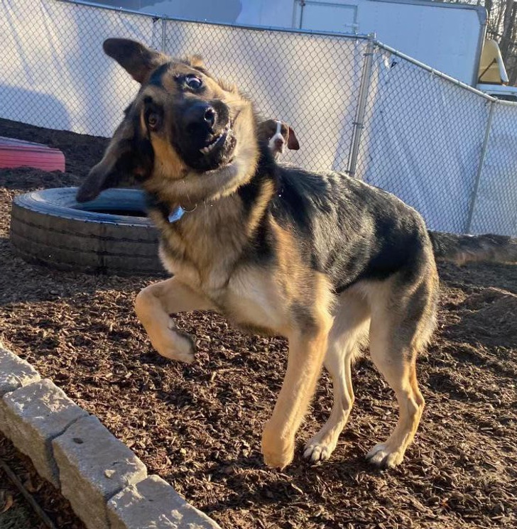 64241f5237a7b97653484f17ec 64241f5237a7b97653484f17ec