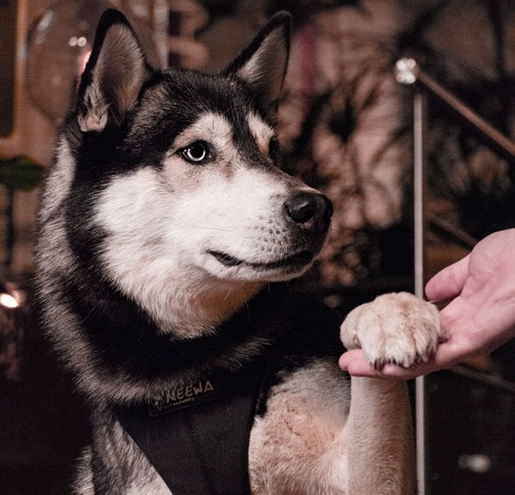 64284f51288664a4b2fc11be59