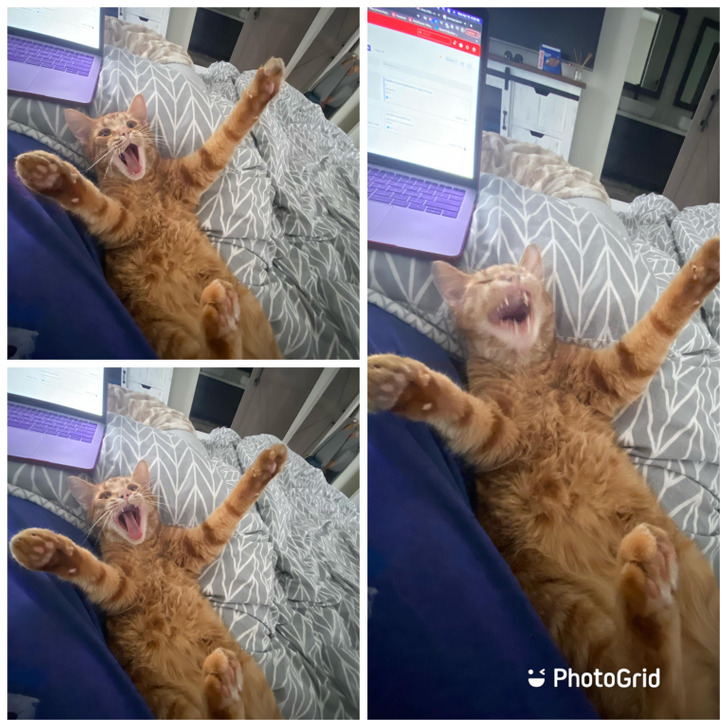 642a3e5679b83a4a6ec46780f2