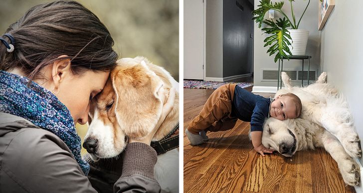 6437c253a0af73420b03944511