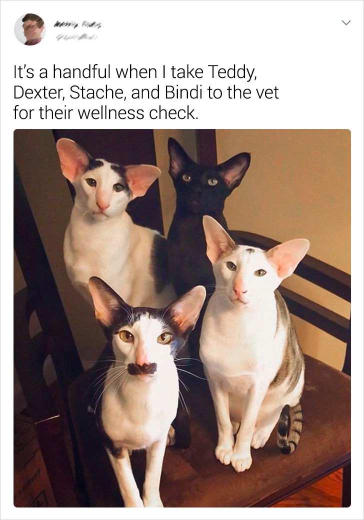 6438cc5e86926f1434226ee89d