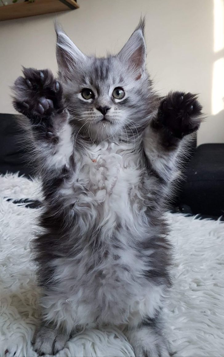 643a82572eae7039350809cd3d