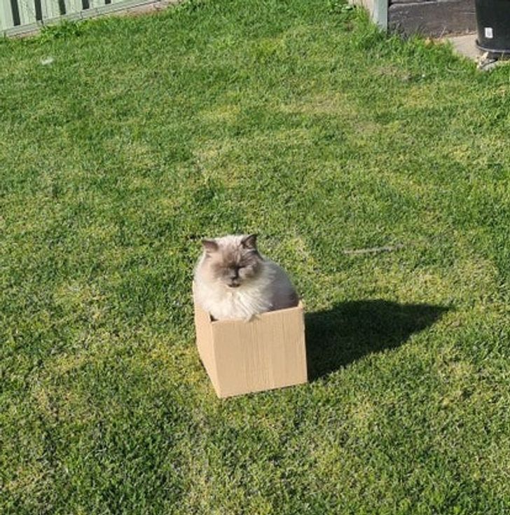 643f085f7897268aaed149236c