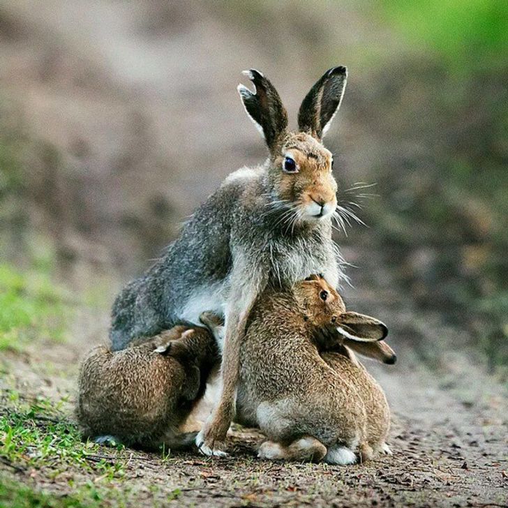 643f2e5ca695157312e4dab518