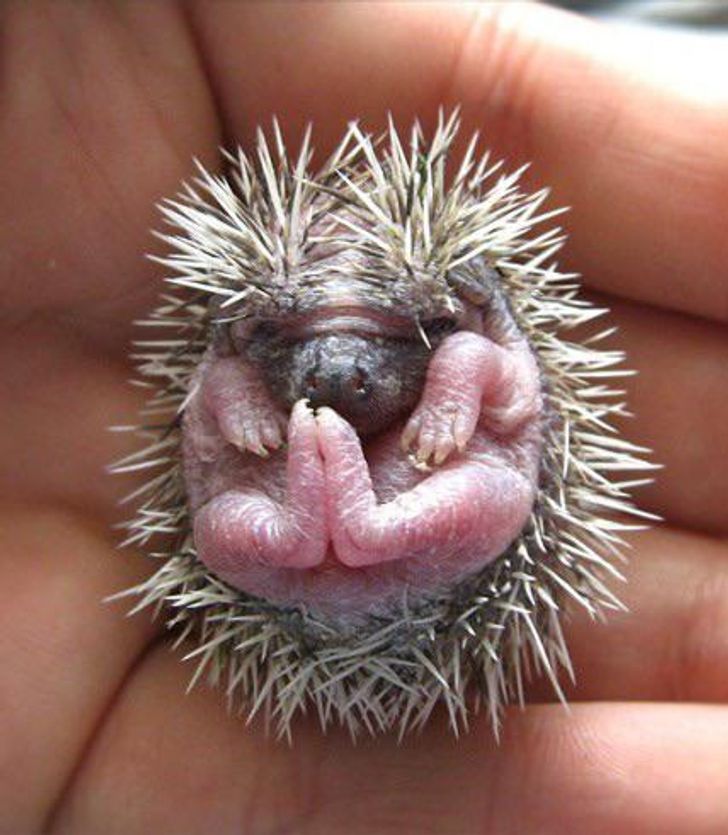 64419d5460af5433f35661e3b8