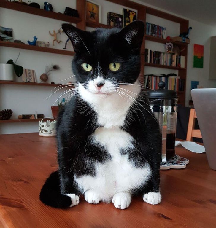 64461b5912967097ed986b5ba0