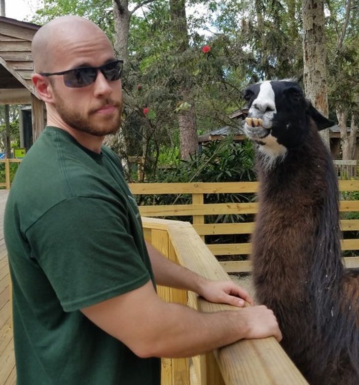 64473555e79411400104d35caa 64473555e79411400104d35caa