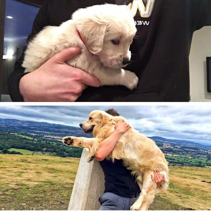 6450f75f54acb90b50ea62ffae 6450f75f54acb90b50ea62ffae