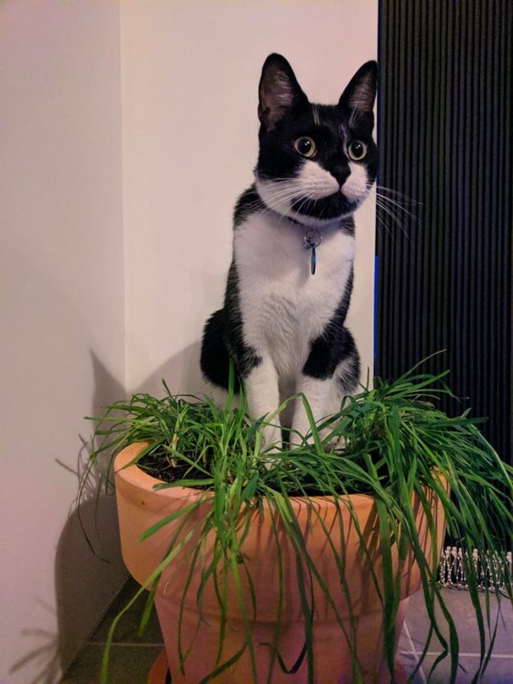 64540352d4960c2ad44ac4a110