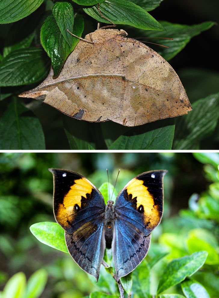 6456b454a6856e39f56aa3e7f0