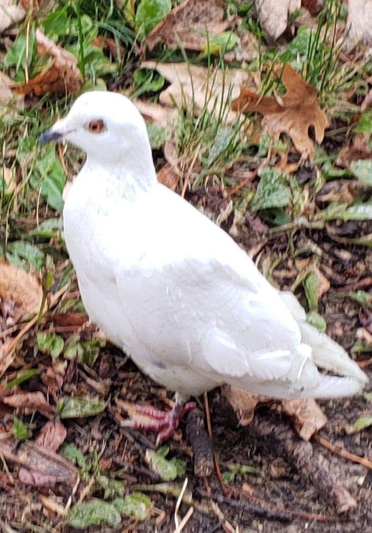 645b225972bc5af8b617b08f49