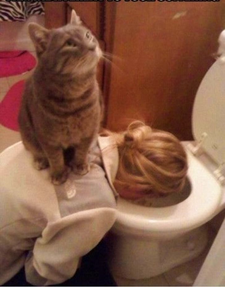 645f8f5072868f7aba17bbfb70