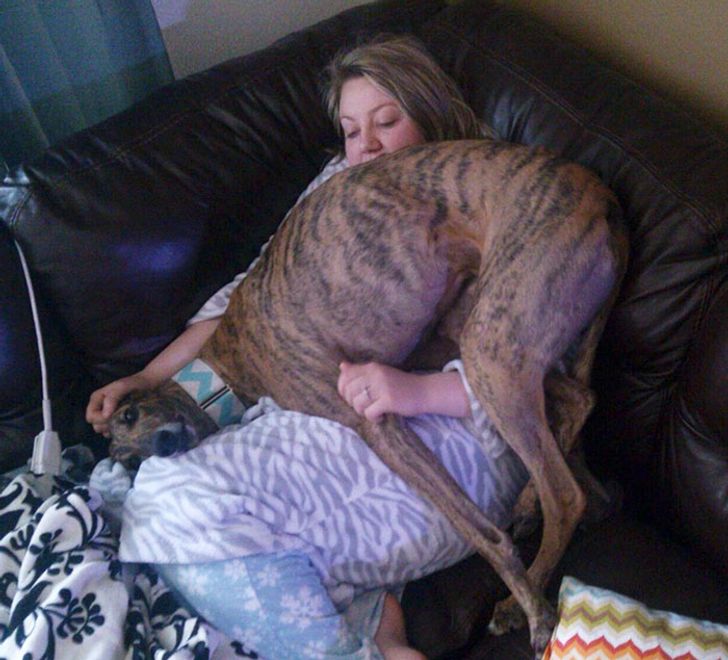 64622b59c7b606c818f298c40d