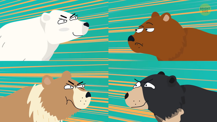 64629b50a9a55c8b6e51f79cb2 64629b50a9a55c8b6e51f79cb2