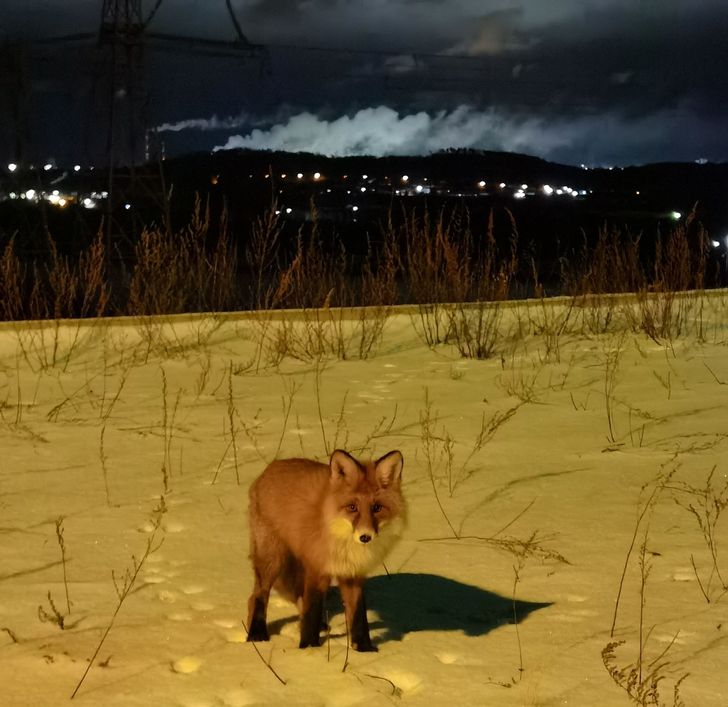 64660a5d7793e887742a708edf